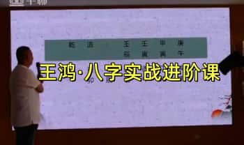 王鸿【八字实战进阶2023】视频课39集