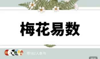 岳哥不群【疯狂的易经梅花易数梅花易数从入门到熟练】视频音频+课件
