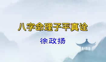 徐政扬【八字命理子平真诠】视频课74集