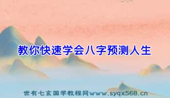 行者【教你快速学会八字预测人生】20集视频