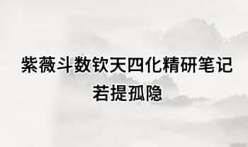 若提孤隐《紫薇斗数钦天四化精研笔记》498页.PDF电子版