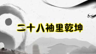 赵嘉敏【二十八袖里乾坤易学实战课】16集视频