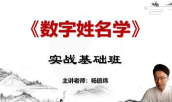 杨振炜【数字姓名学数字八字】视频33集