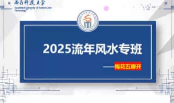 梅花五瓣开【2025流年风水专班】视频课13集