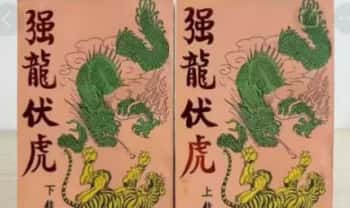 房中术养生奇书《强龙伏虎》于海洲 上下册.PDF电子版
