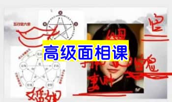 赵壹一老师最新【高级面相课】教学视频14集