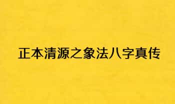 盲派《正本清源之象法八字真传》 上下2册.PDF电子版