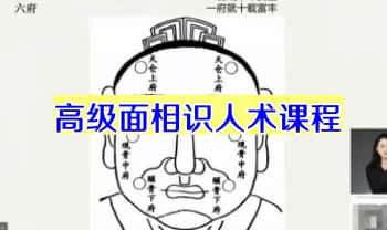 赵壹一【高级面相识人术课程】35集视频
