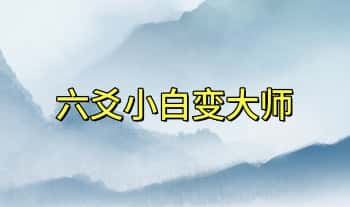 【江城小白变大师】六爻初级+理法 视频课25集