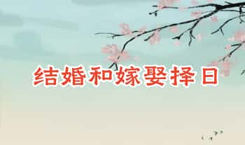 《结婚和嫁娶择日》193页.PDF电子版