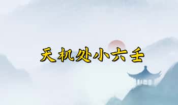【天机处小六壬】诸葛马前课 视频9集