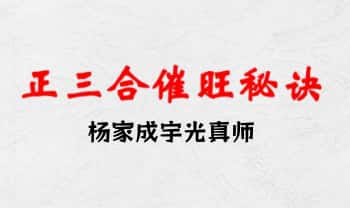 杨家成宇光真师《正三合催旺秘诀秘籍》350页.PDF电子版