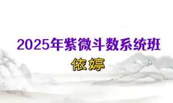 依婷【2025年紫微斗数系统班】视频教学12集