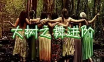 afrt【大树之舞进阶元气系列课程】视频+音频10集
