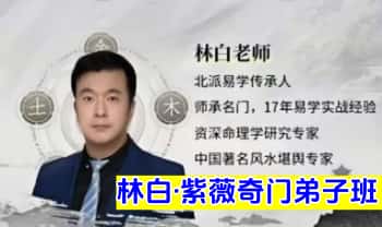 林白老师【紫薇、奇门弟子班】视频课47集