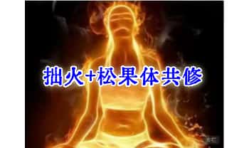 【拙火+松果体共修课程】 29集音频+1节视频