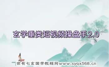 湛然星座【玄学垂类短视频操盘手2.0】视频+音频 8节