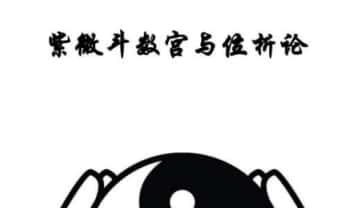 《紫微斗数宫与位析论》32页.PDF电子版