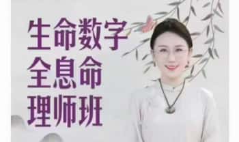 吴雨芯【生命数字全息命理师课】视频23集