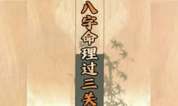《八字命理过三关》298页.PDF电子版