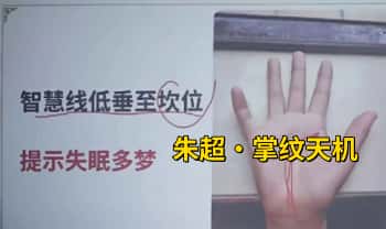 朱超【掌纹天机】（手诊学）视频课 9集
