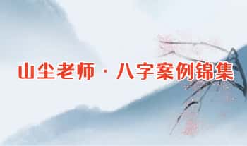 山尘老师【八字案例锦集】视频课 77集