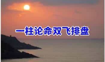 《一柱论命》双飞排盘 194页.PDF电子版