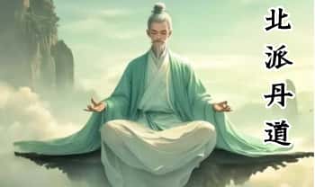 陈真人 道家功法【北派丹道】视频9集