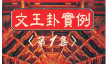 郑景峰《文王卦实例》两册.PDF电子版