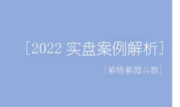 紫悟紫微斗数《2022实盘案例解析》224页.PDF电子版