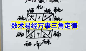 和善意【数术易经万事三角定律】视频课 40集