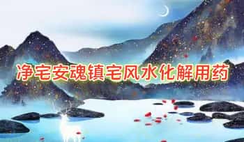 《净宅安魂镇宅风水化解用药》9本合集.PDF电子版