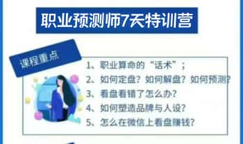 令东来【紫微斗数职业预测师7天特训营】视频课14集