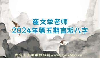 崔文举催老师【2024年第五期盲派八字】视频25课