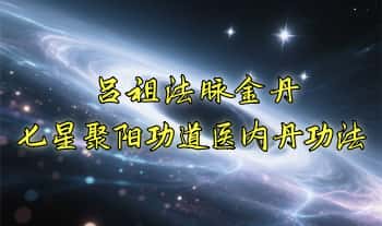 张信老师【吕祖法脉金丹及七星聚阳功法传承】面授课视频6集
