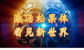 伏弘霖【激活松果体，看见新世界】（三日看见新世界）33集视频