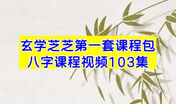 玄学芝芝 第一套课程包【八字课程】视频103集