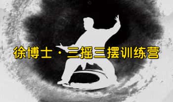 徐博士【三摇三摆训练营】12节视频