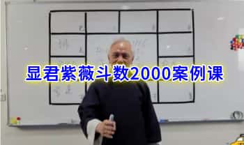 显君一枝花【紫薇斗数2000案例课】视频129集