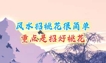 陈龙羽【风水招桃花很简单】重点是招好桃花 视频一集
