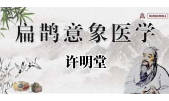 许明堂许老师【扁鹊意象疗愈】以象改象 视频25集