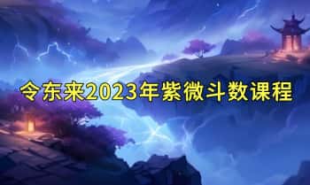 令东来【2023紫微斗数课程】视频14节