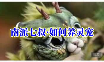 南派七叔【如何养灵宠】PDF文档3本+图片3张