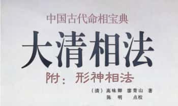 《大清相法》263页.PDF电子版