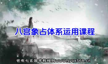 【八宫象占体系运用课程】视频课11集