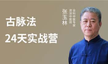 中医课【快速学把脉】视频23集