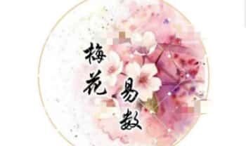 法恒道人【梅花易数基础课】音频课6集