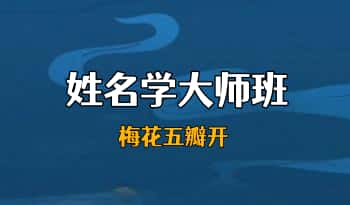 梅花五瓣开2025年【姓名学大师班】教学视频30集