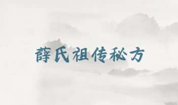 《薛氏祖传秘方》163页.PDF电子版