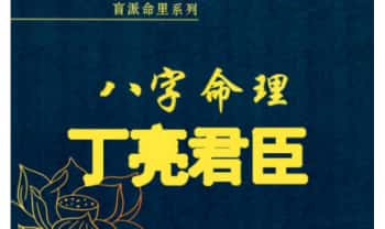 丁亮君臣《君臣之道· 命主理论讲义汇编》526页.PDF电子版
